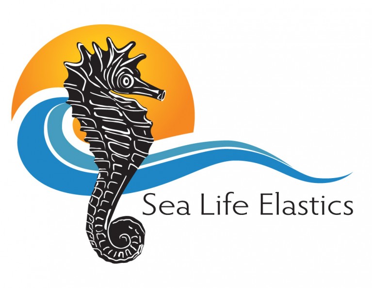 Elastomerics American Orthodontics